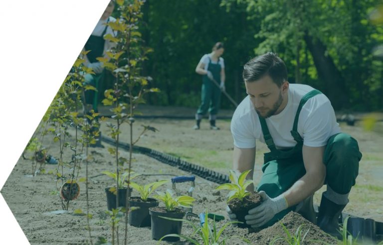 Real Facility Management